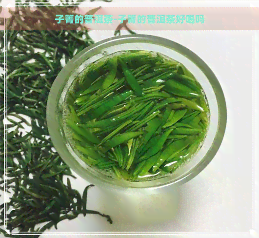 子箐的普洱茶-子箐的普洱茶好喝吗