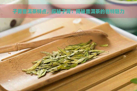 子箐普洱茶特点，探秘子箐：揭秘普洱茶的独特魅力