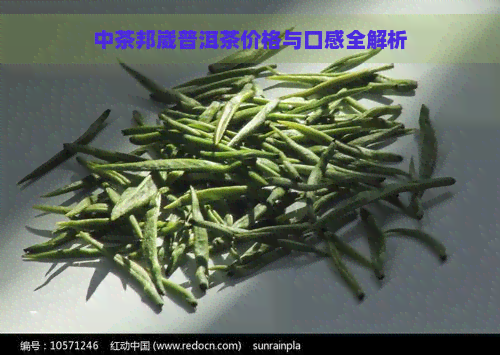 中茶邦崴普洱茶价格与口感全解析