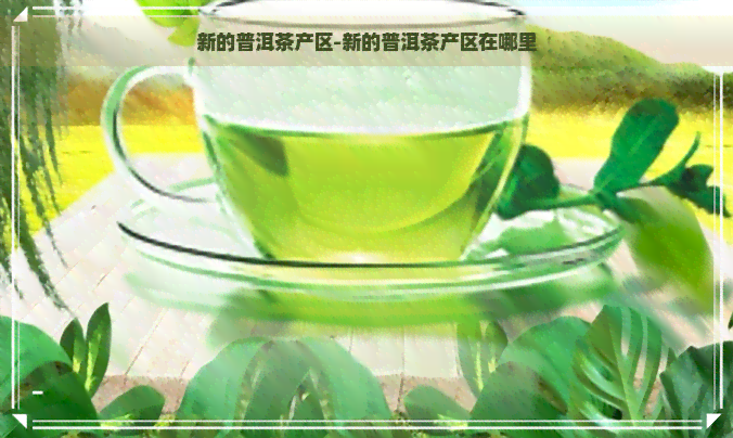 新的普洱茶产区-新的普洱茶产区在哪里