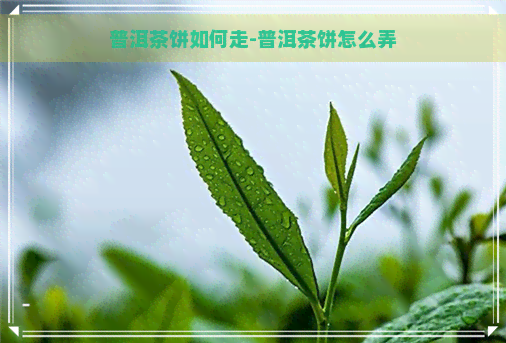 普洱茶饼如何走-普洱茶饼怎么弄