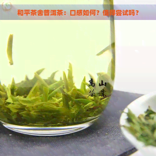 和平茶舍普洱茶：口感如何？值得尝试吗？