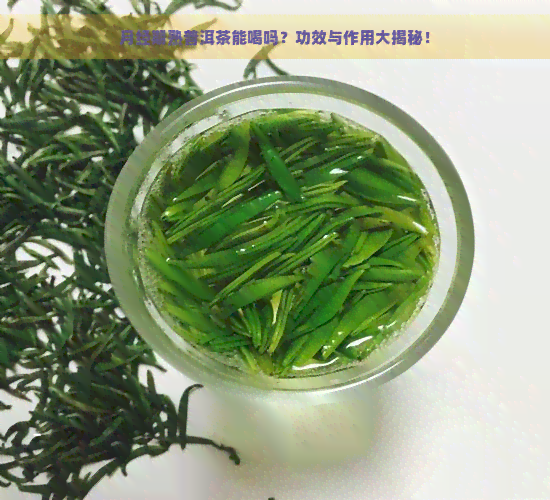 月经期熟普洱茶能喝吗？功效与作用大揭秘！