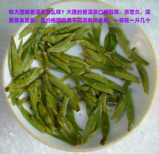 在大理喝普洱茶怎么样？大理的普洱茶口感醇厚，历悠久，深受茶友喜爱。其价格因品质不同而有所差异，一般在一斤几十元到几百元不等。大理生产的普洱茶有生茶、熟茶等多种类型，其中以“下关沱茶”、“凤庆滇红”等最为有名。想要品尝正宗的大理普洱茶，可以去当地的茶或者老字号店铺购买。