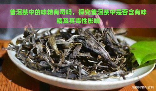 普洱茶中的味精有吗，探究普洱茶中是否含有味精及其性影响