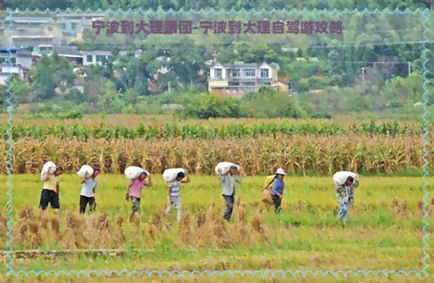 宁波到大理跟团-宁波到大理自驾游攻略