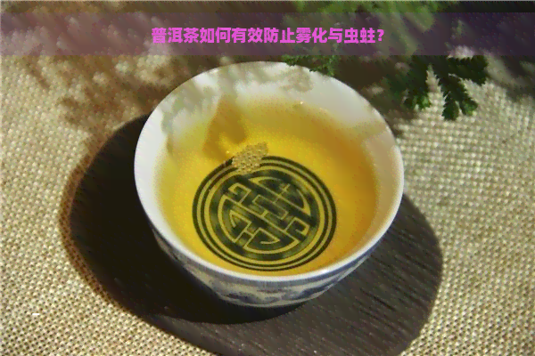 普洱茶如何有效防止雾化与虫蛀？