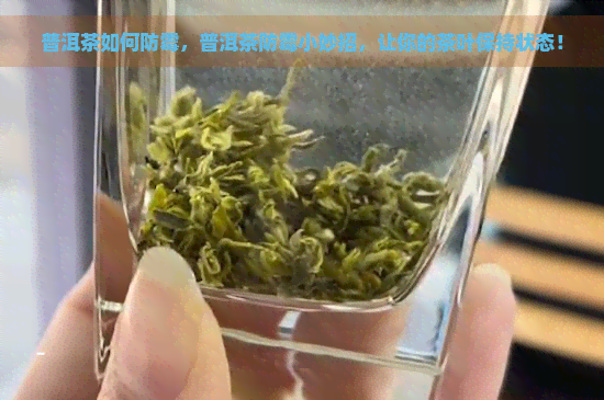 普洱茶如何防霉，普洱茶防霉小妙招，让你的茶叶保持状态！