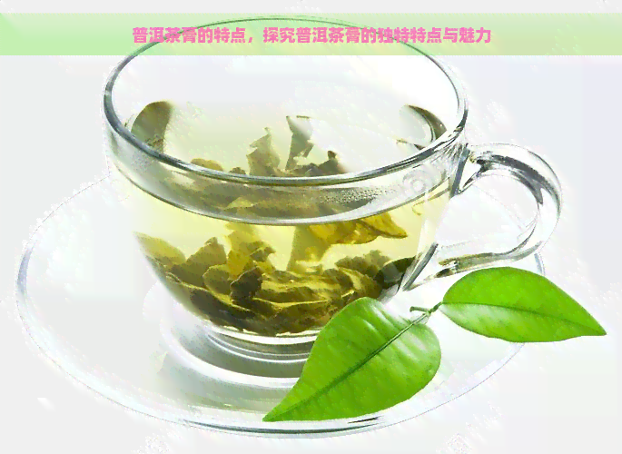 普洱茶膏的特点，探究普洱茶膏的独特特点与魅力