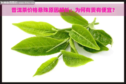 普洱茶价格悬殊原因解析：为何有贵有便宜？