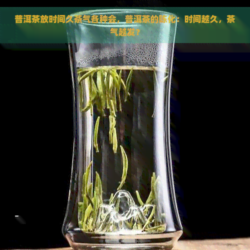 普洱茶放时间久茶气各种会，普洱茶的陈化：时间越久，茶气越发？