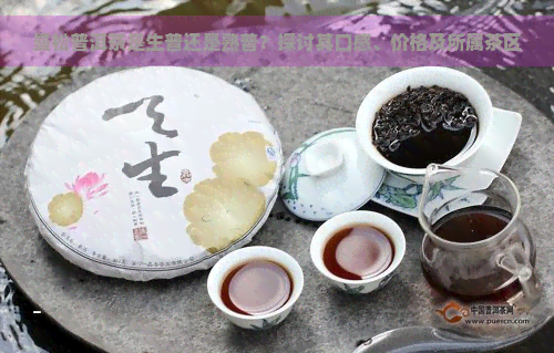 曼松普洱茶是生普还是熟普？探讨其口感、价格及所属茶区