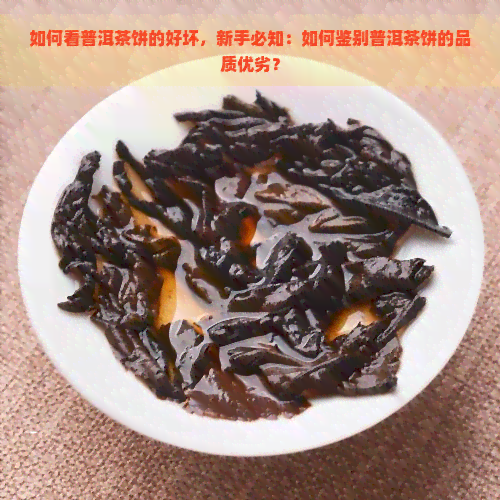 如何看普洱茶饼的好坏，新手必知：如何鉴别普洱茶饼的品质优劣？