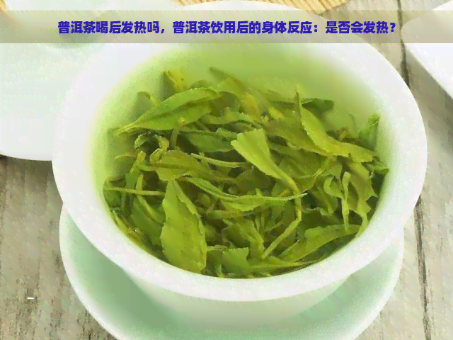 普洱茶喝后发热吗，普洱茶饮用后的身体反应：是否会发热？