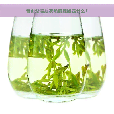 普洱茶喝后发热的原因是什么？