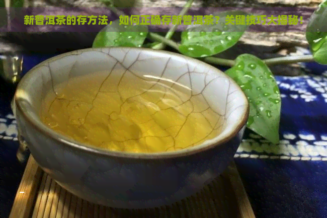 新普洱茶的存方法，如何正确存新普洱茶？关键技巧大揭秘！