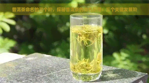 普洱茶命名的三个阶，探秘普洱茶的命名历程：三个关键发展阶