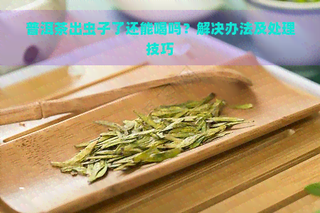 普洱茶出虫子了还能喝吗？解决办法及处理技巧