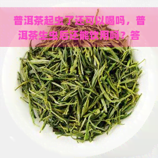 普洱茶起虫了还可以喝吗，普洱茶生虫后还能饮用吗？答案在这里！