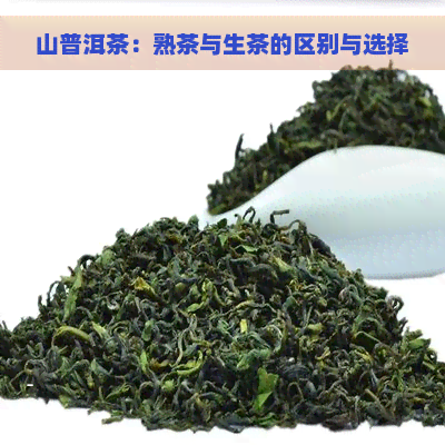 山普洱茶：熟茶与生茶的区别与选择