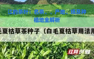 江的茶叶：名茶、、产地、场及种植地全解析