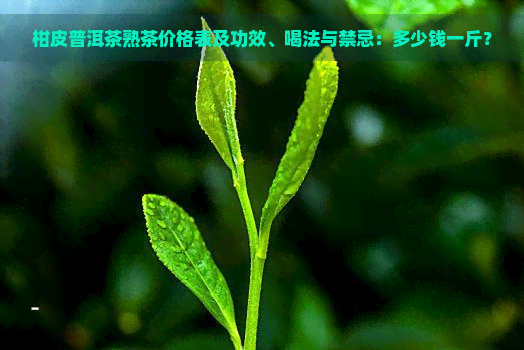 柑皮普洱茶熟茶价格表及功效、喝法与禁忌：多少钱一斤？