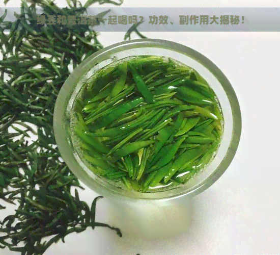 绿豆和普洱茶一起喝吗？功效、副作用大揭秘！