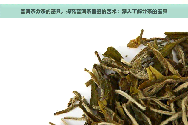 普洱茶分茶的器具，探究普洱茶品鉴的艺术：深入了解分茶的器具