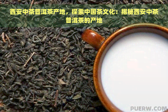 西安中茶普洱茶产地，探索中国茶文化：揭秘西安中茶普洱茶的产地