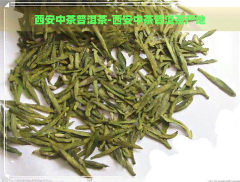 西安中茶普洱茶-西安中茶普洱茶产地