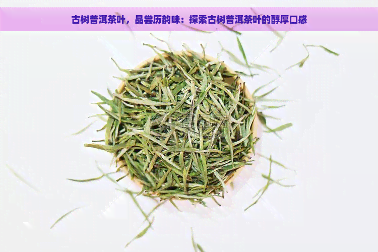 古树普洱茶叶，品尝历韵味：探索古树普洱茶叶的醇厚口感