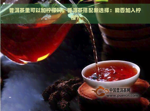 普洱茶里可以加柠檬吗，普洱茶搭配新选择：能否加入柠檬？