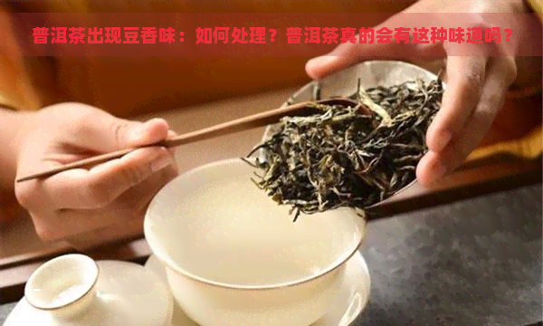 普洱茶出现豆香味：如何处理？普洱茶真的会有这种味道吗？