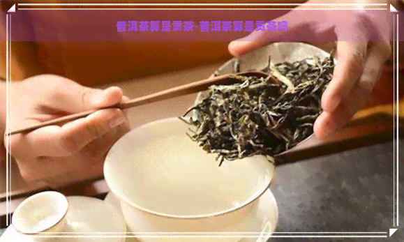 普洱茶算是贡茶-普洱茶算是贡茶吗