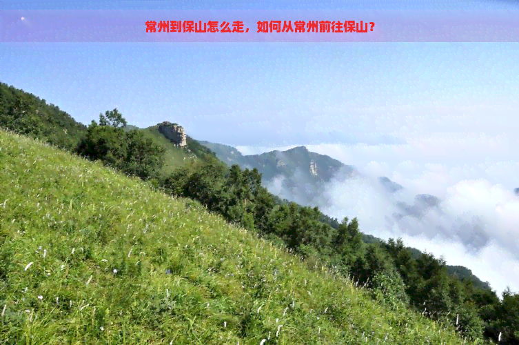 常州到保山怎么走，如何从常州前往保山？