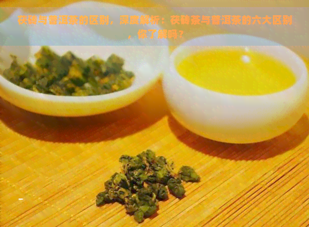 茯砖与普洱茶的区别，深度解析：茯砖茶与普洱茶的六大区别，你了解吗？