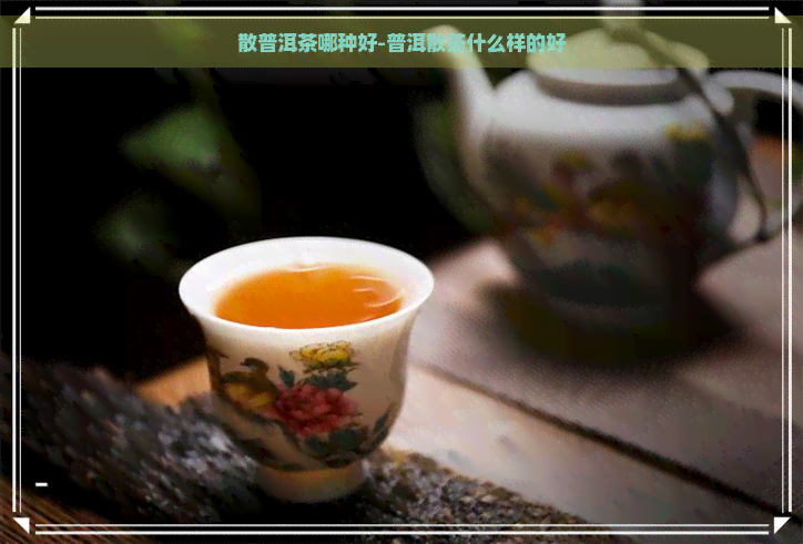 散普洱茶哪种好-普洱散茶什么样的好