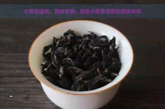 小菜普洱茶，品味云南：探索小菜普洱茶的韵味与历