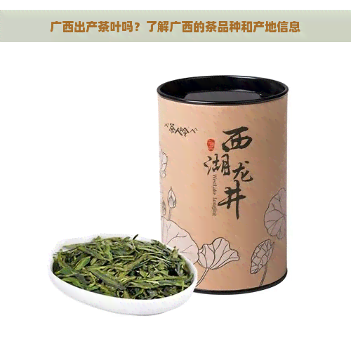 广西出产茶叶吗？了解广西的茶品种和产地信息