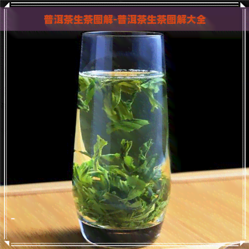 普洱茶生茶图解-普洱茶生茶图解大全