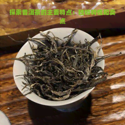 探索普洱茶的主要特点：独特特性和卖点