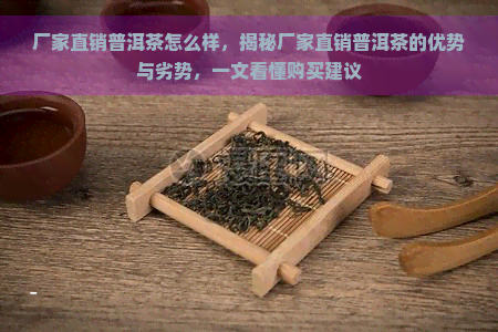 厂家直销普洱茶怎么样，揭秘厂家直销普洱茶的优势与劣势，一文看懂购买建议