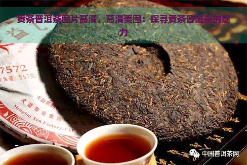 贡茶普洱茶图片高清，高清美图：探寻贡茶普洱茶的魅力