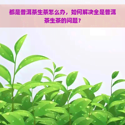 都是普洱茶生茶怎么办，如何解决全是普洱茶生茶的问题？