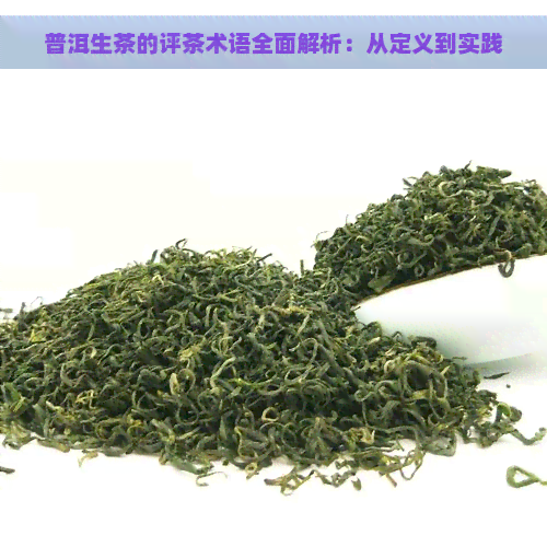 普洱生茶的评茶术语全面解析：从定义到实践