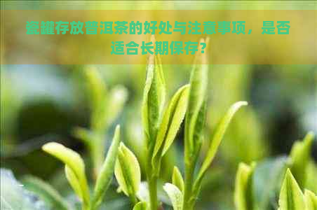 瓷罐存放普洱茶的好处与注意事项，是否适合长期保存？