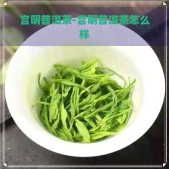 宫明普洱茶-宫明普洱茶怎么样