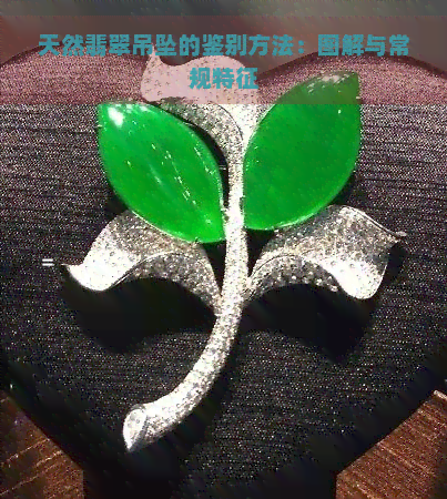 天然翡翠吊坠的鉴别方法：图解与常规特征