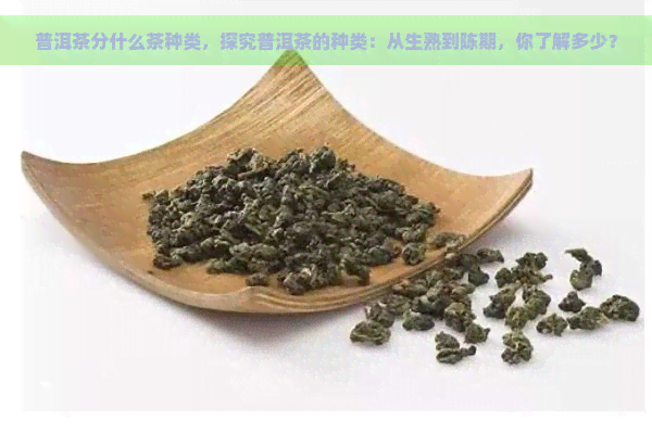 普洱茶分什么茶种类，探究普洱茶的种类：从生熟到陈期，你了解多少？