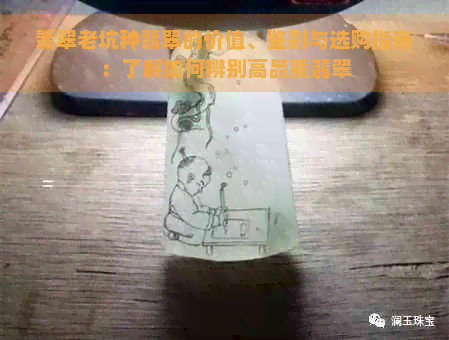 翡翠老坑种翡翠的价值、鉴别与选购指南：了解如何辨别高品质翡翠